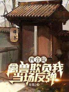四合院连载