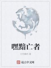 神奇宝贝之黑暗王者