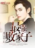 最强败家子免费阅读