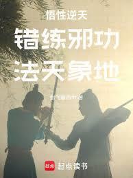 错练邪功法天象地篱笆好文学