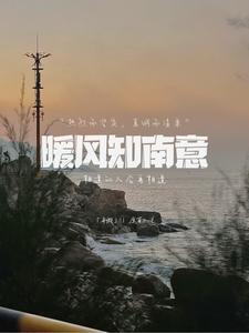 南风暖暖全文免费阅读