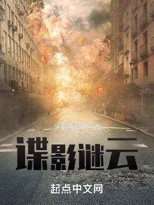 谍影谜云 深蓝的国度