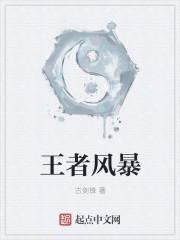 王者 风暴英雄