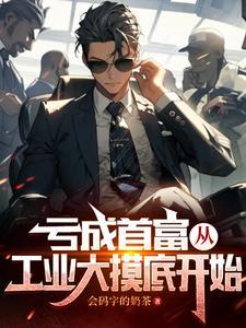 亏成首富从工业大摸底开始网