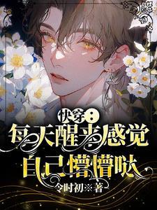 每天快穿睁眼醒来都在pp
