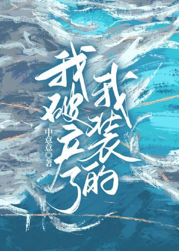 我装的双洁