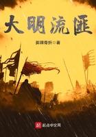 大明流匪无错免费阅读