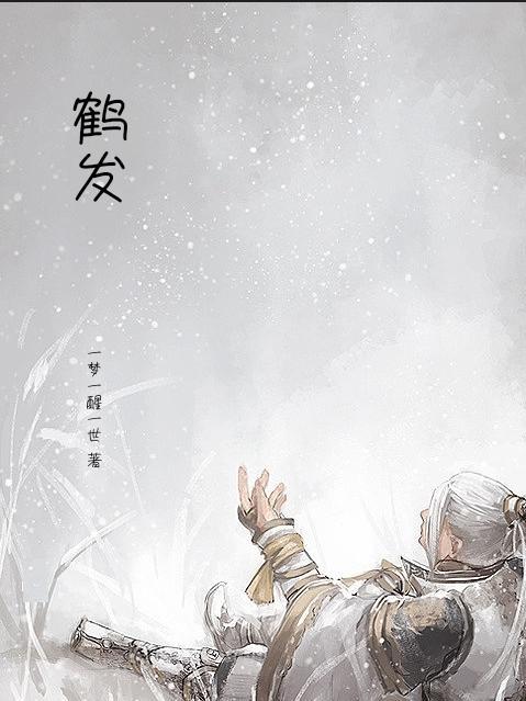 流浪者的幻想是哪个国家的