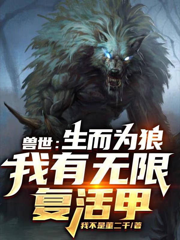 流浪的装备