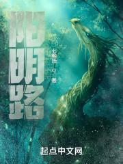 四公主的复仇记