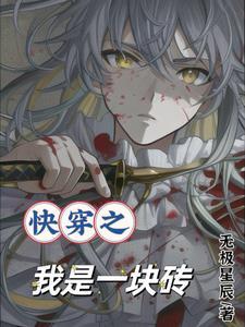 时意256中文