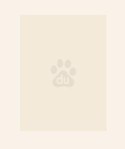 山风微澜最新章节