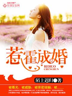 那年花开月正圆演员表