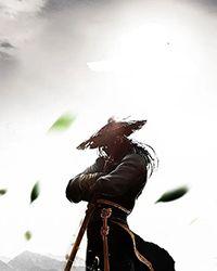 （综武侠同人）人生赢家的正确崛起方式[综武侠]+番外